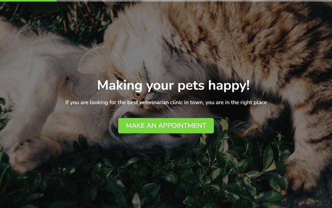 Veterinary Clinic Appointment Form template image