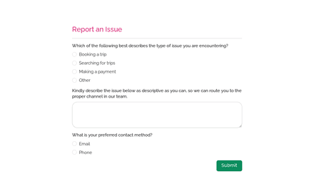 Report an Issue Form template image